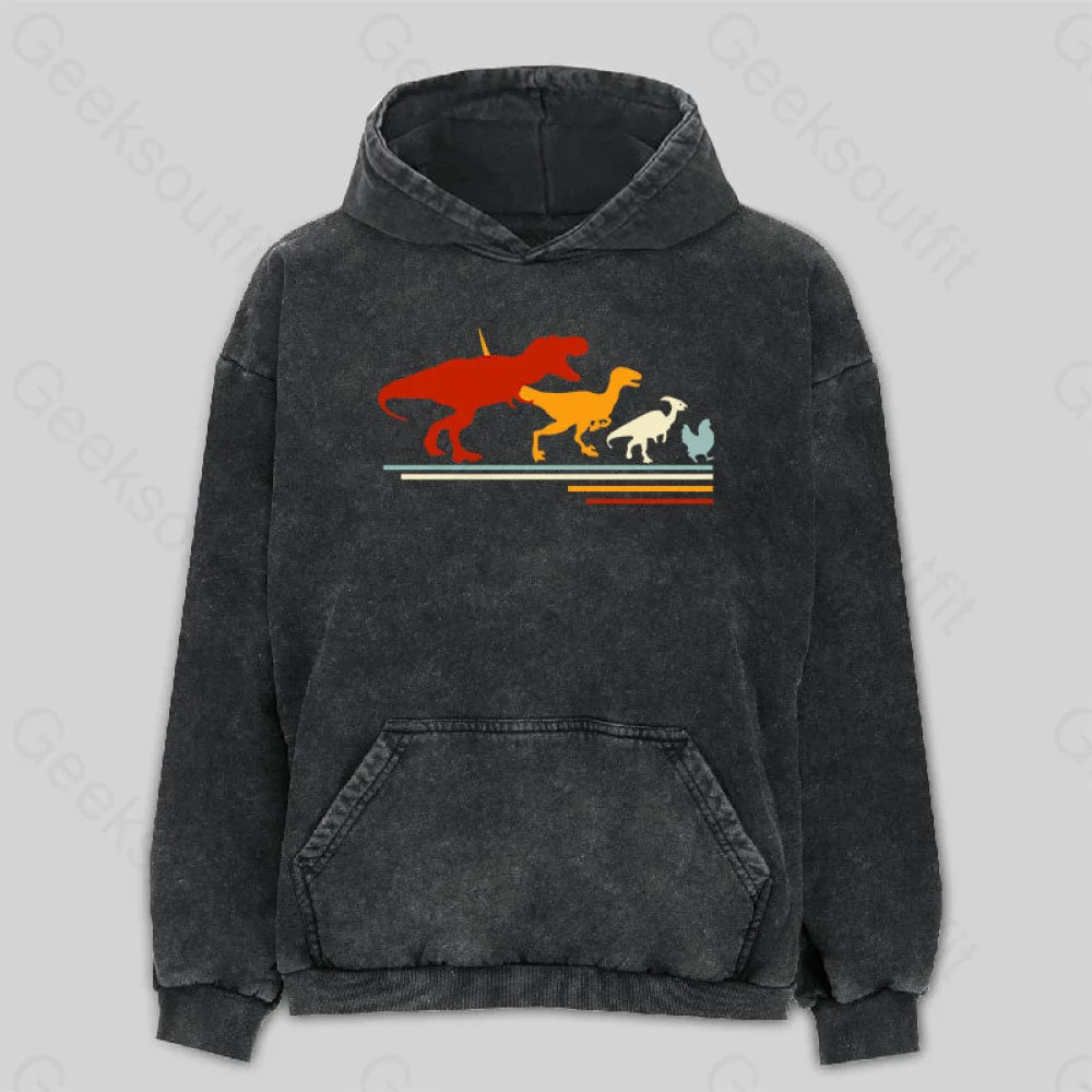 High-quality Fabrics Dinosaur Evolution Washed Hoodie