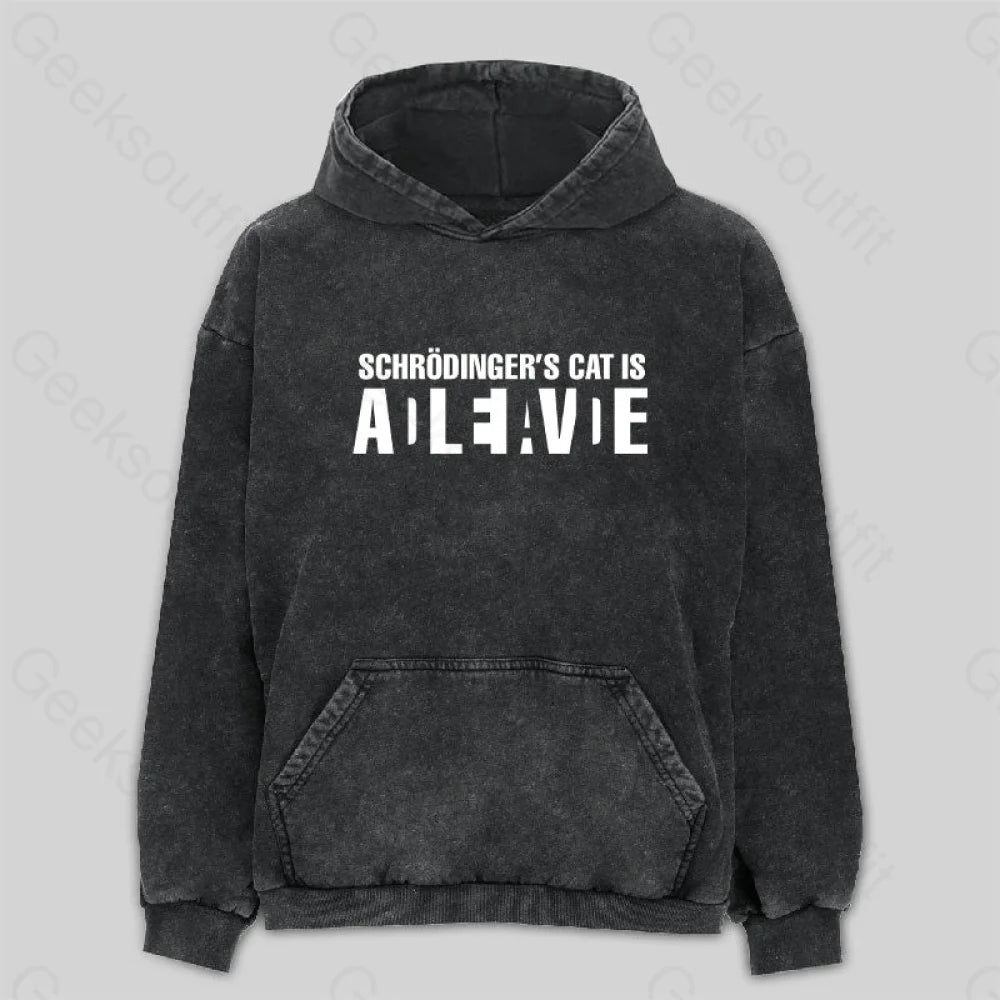 Layered Style Schr?dinger's Cat ADLEIAVDE Washed Hoodie